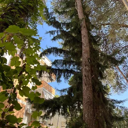 Garden Paradise Golem Apartment Golem (Tirana)